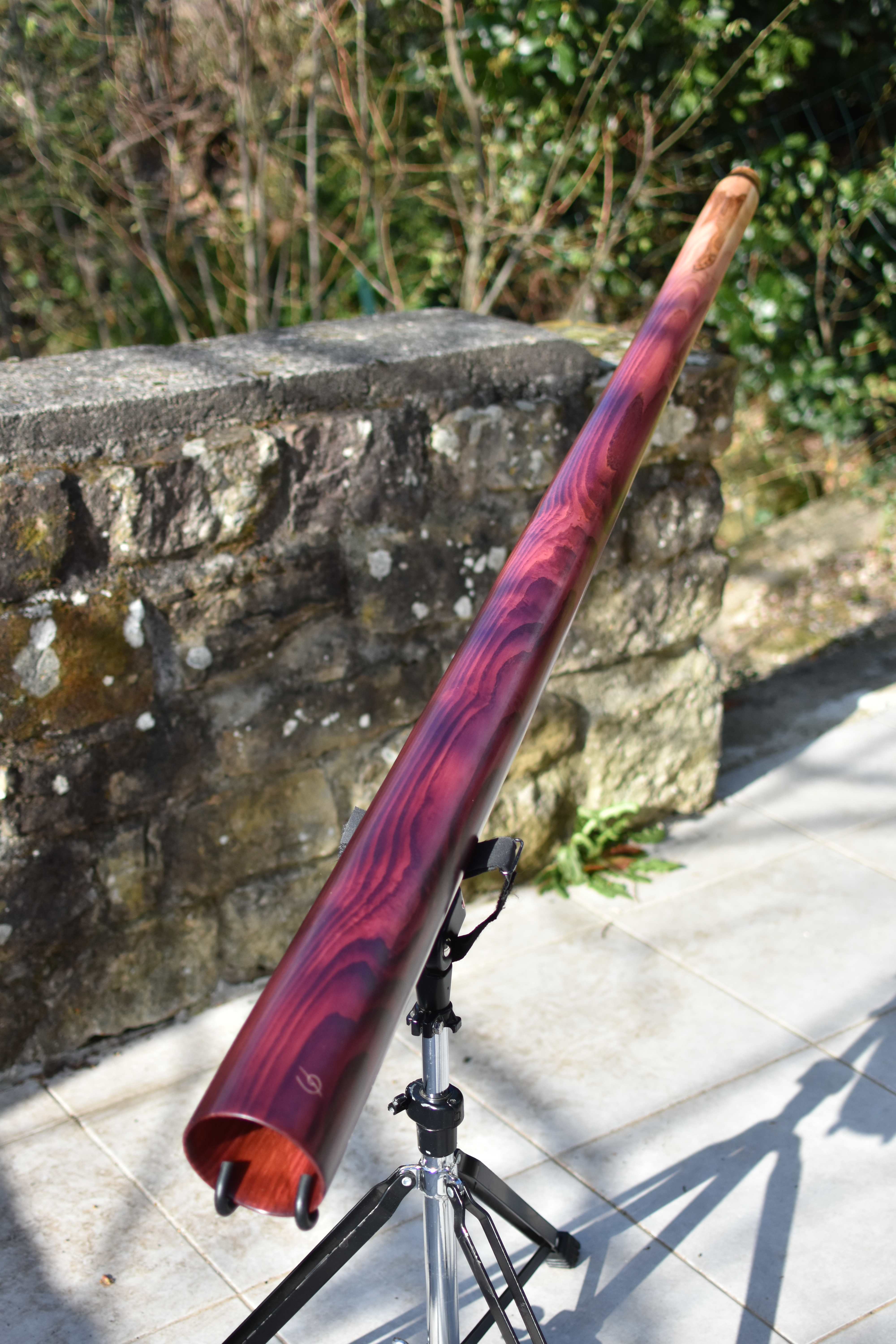 Didgeridoo nommé Ganui, en Do, tout droit, fabriqué dans un magnifique morceau de frêne à coeur olivier, teinté en dégradé de pourpre