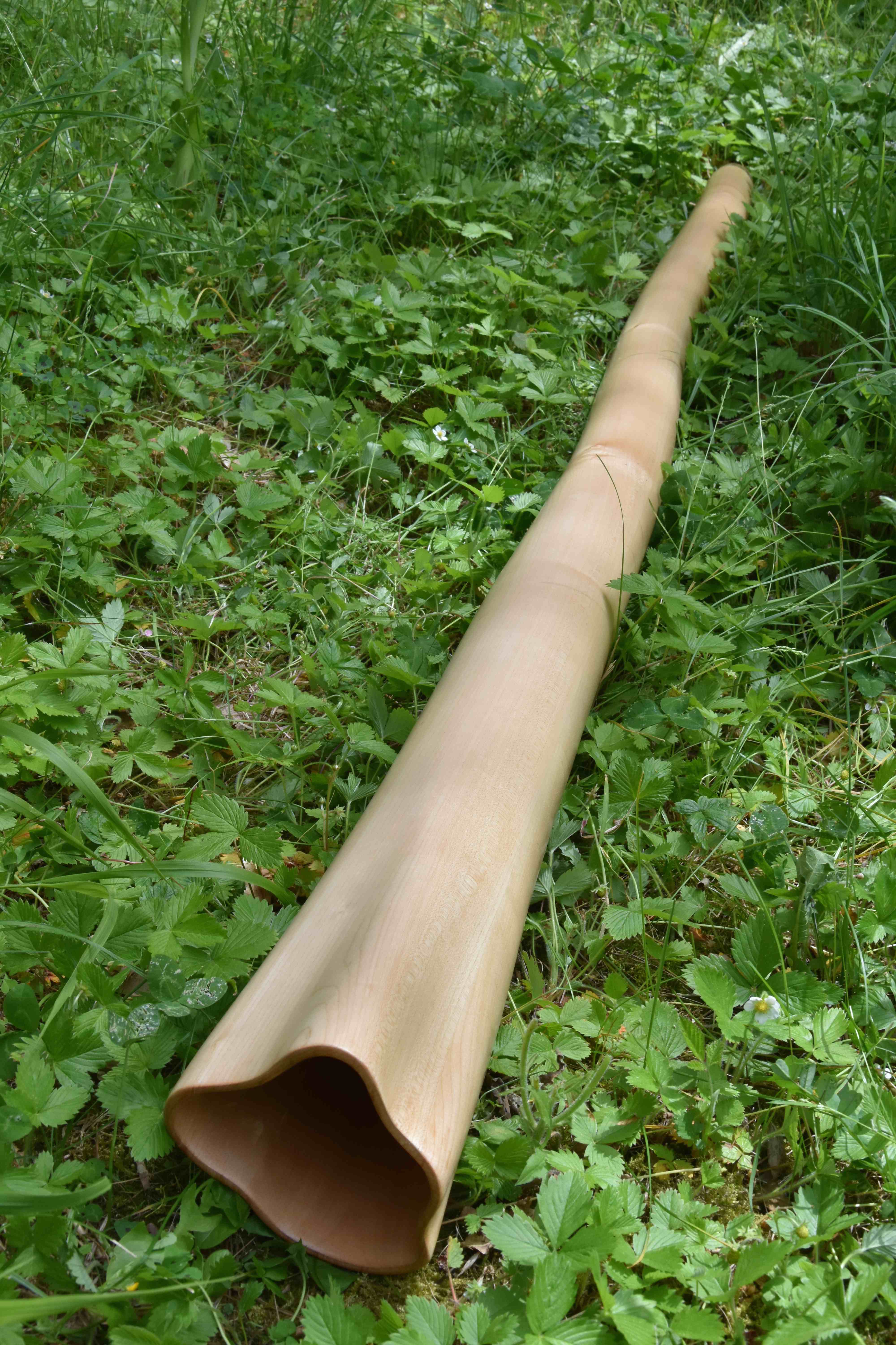 Didgeridoo nommé Korangi, en Do, légèrement courbé, fabriqué dans en bois d'érable