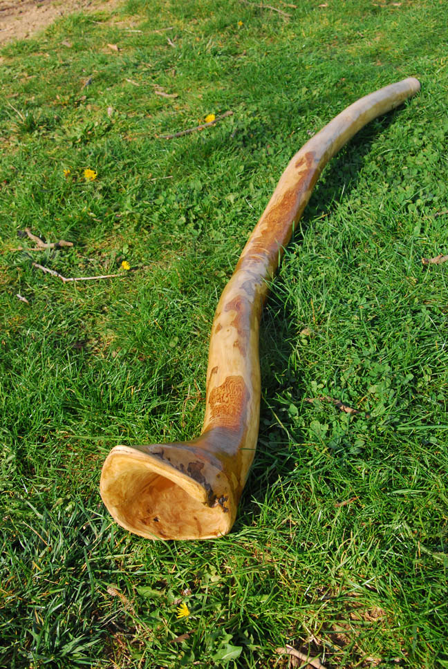 Didgeridoo nommé Elephant, en Do, légèrement courbé, fabriqué en bois de chataignier