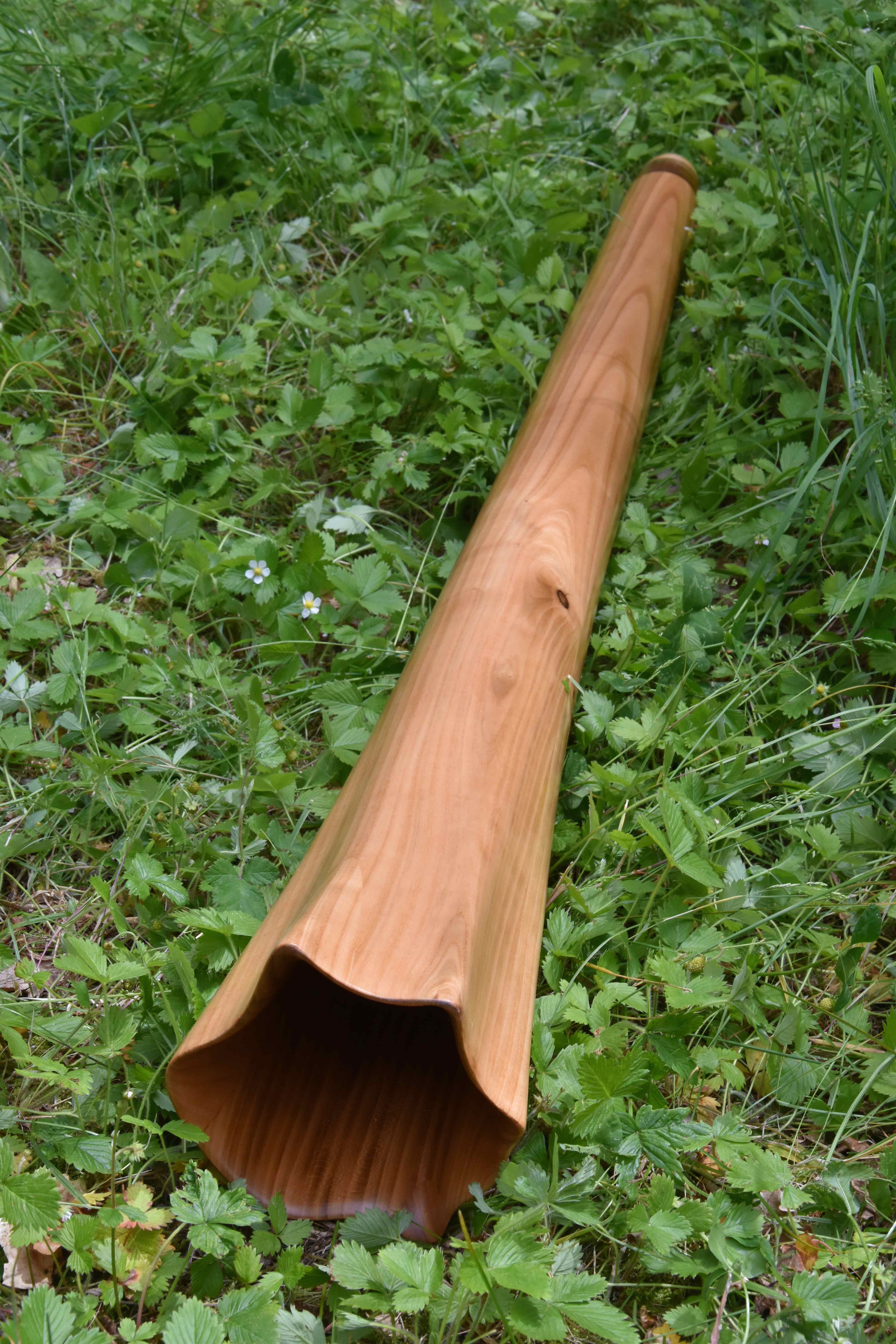 Didgeridoo nommé Mahoï, en Mi, tout droit, fabriqué en bois de merisier avec une cloche très sculptée