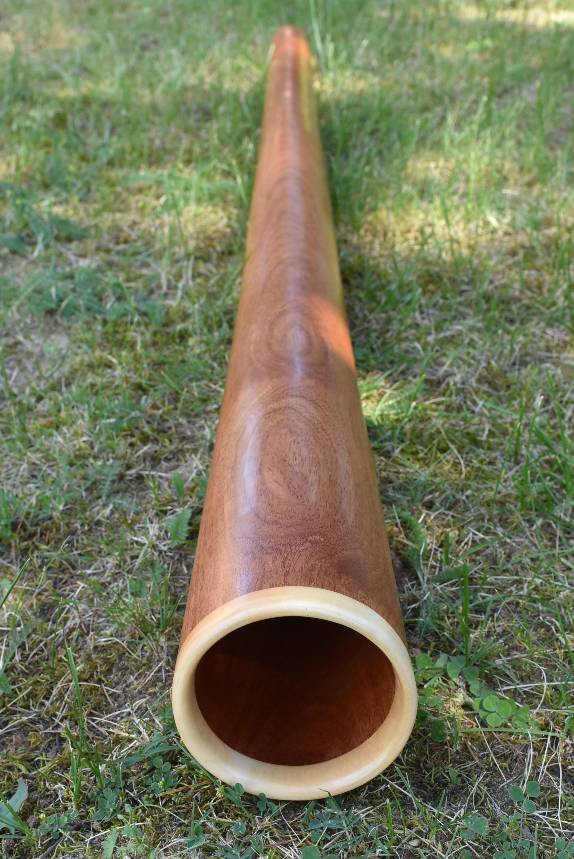 Didgeridoo nommé Omaru, en Do, tout droit, fabriqué en bois de niangon avec un anneau d’érable à la cloche